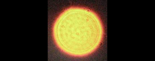 An orb with bright color and clear structure.